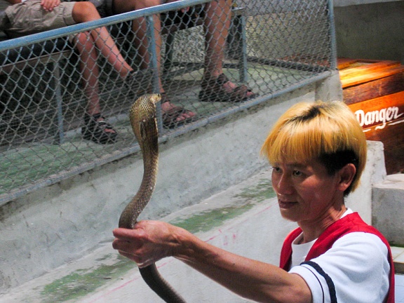 Настоящая кобра