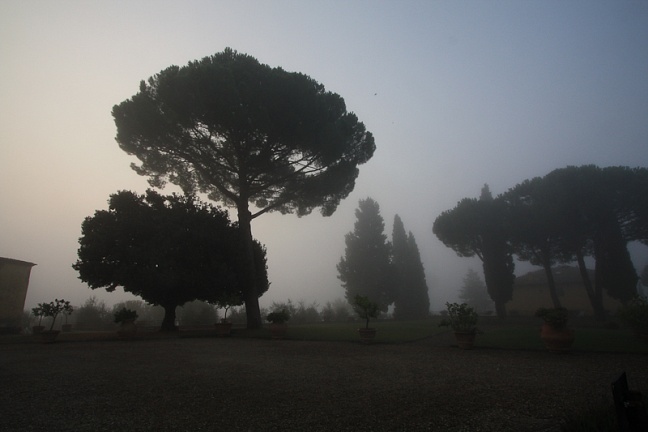 Туманное утро в Tenuta di Sticciano